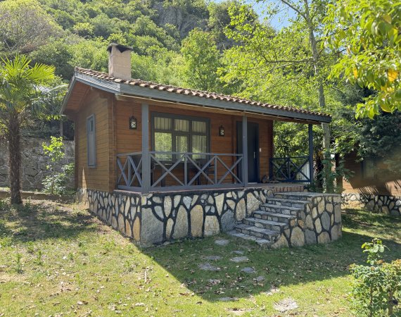 Şömineli Bungalov 2